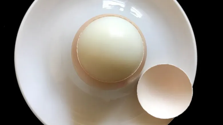 egg20_25